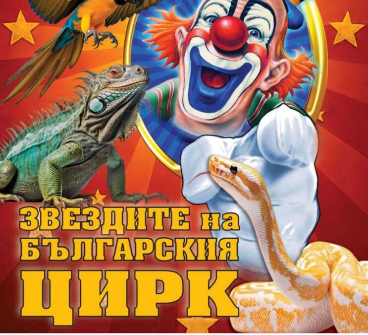 ПОКАНА ОТ ЦИРК „МИРАКЪЛ“