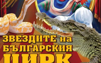 ПОКАНА ОТ ЦИРК „МИРАКЪЛ“ ЗА 16, 17 И 18 ОКТОМВРИ